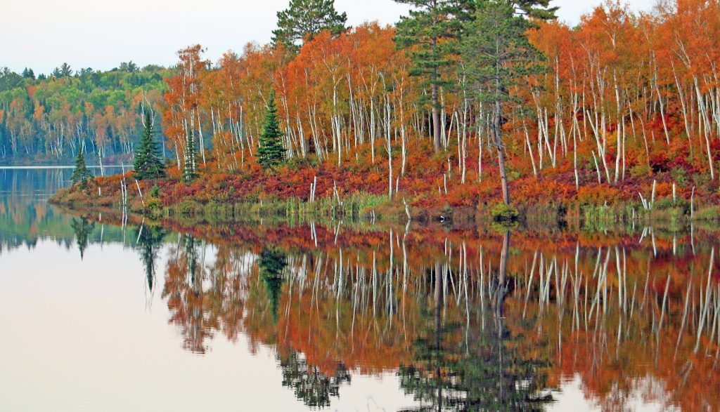 Fall colours reflected on a lake near Coleman, Ontario.
