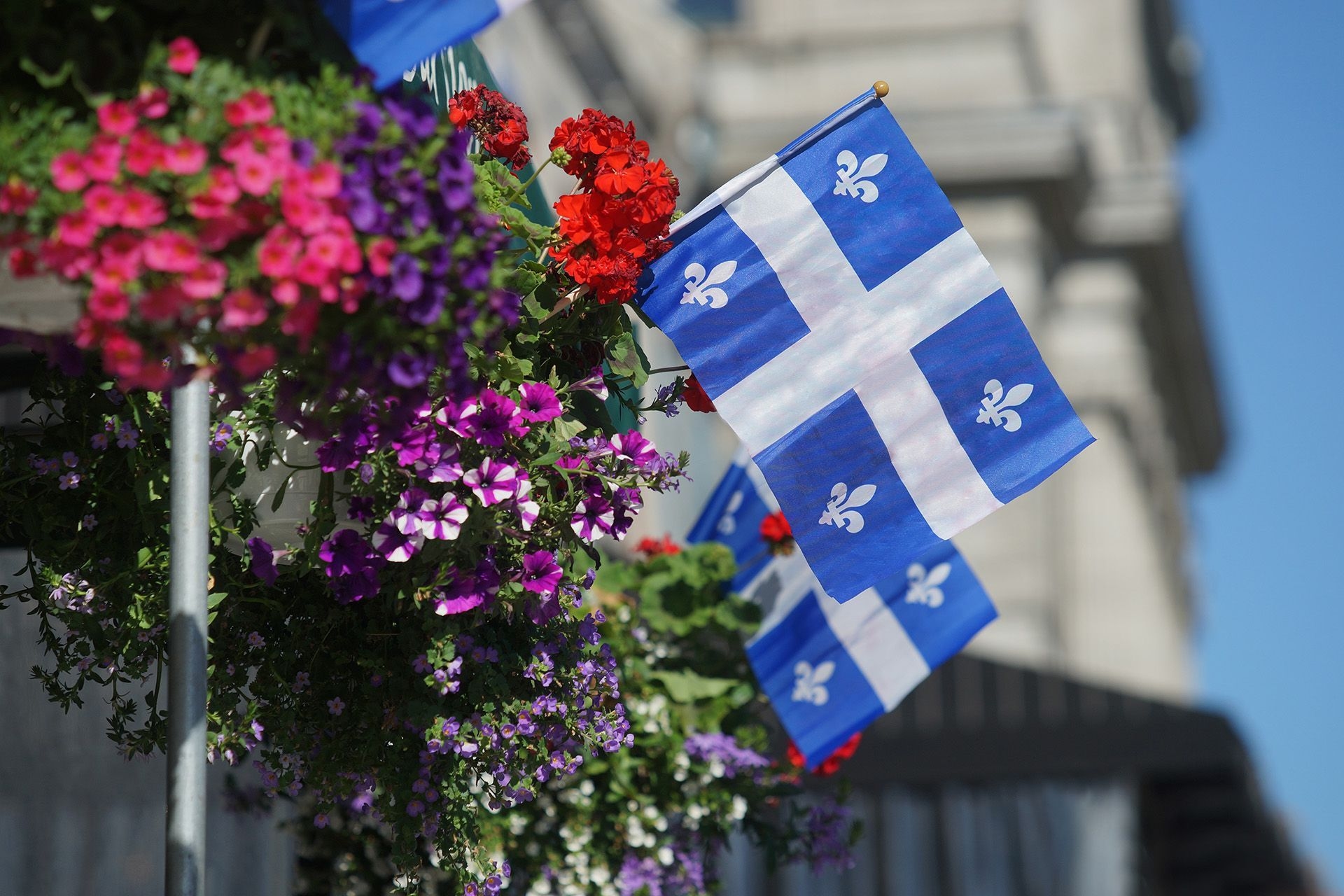 A picture of the quebec flag hanging out of a planter box.