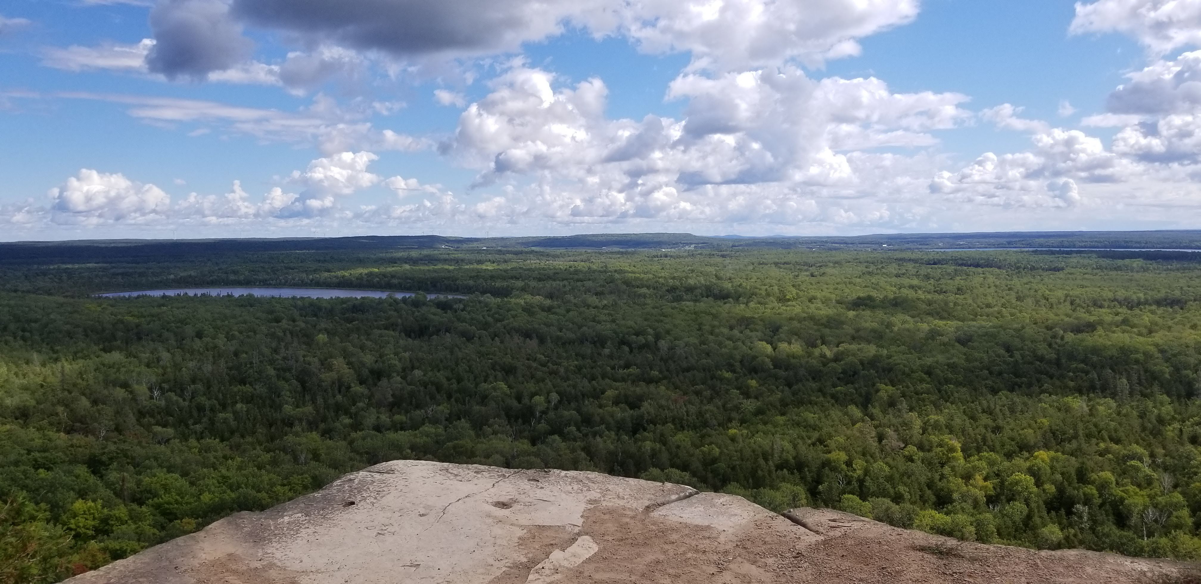 Cup and Saucer View