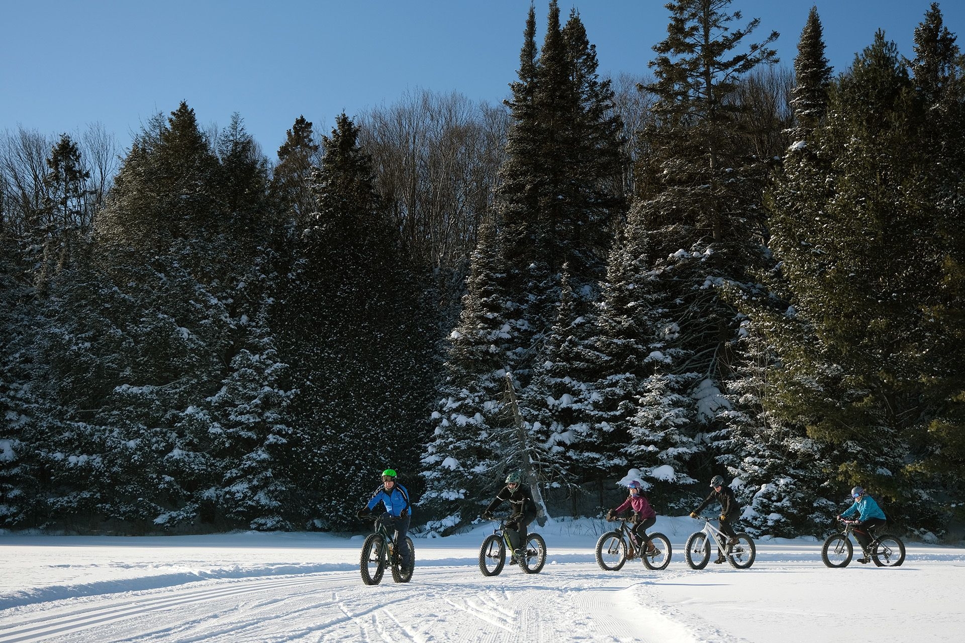 People fat biking in North Bay.