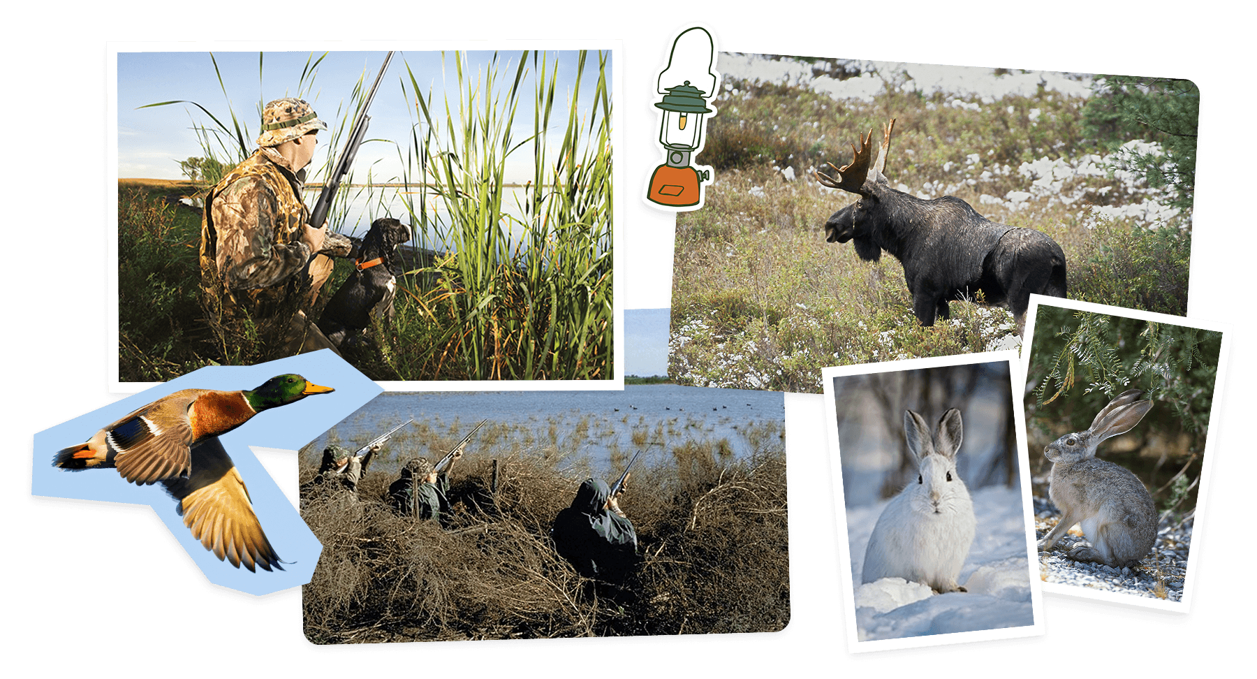 A collage of images, cut outs, and stickers with pictures of people hunting in the grass, hares, a moose, and a flying duck,.