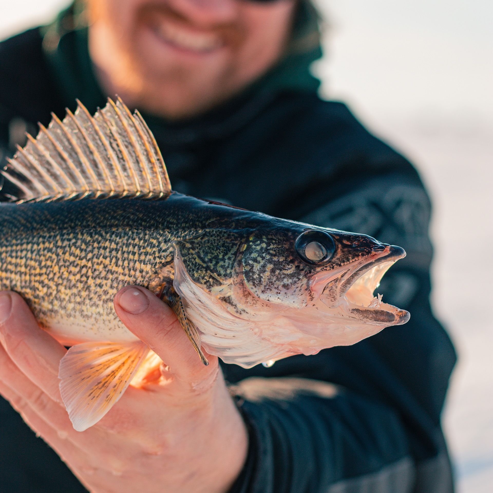 A person wearing a black jacket is holding a fish towards the camera.