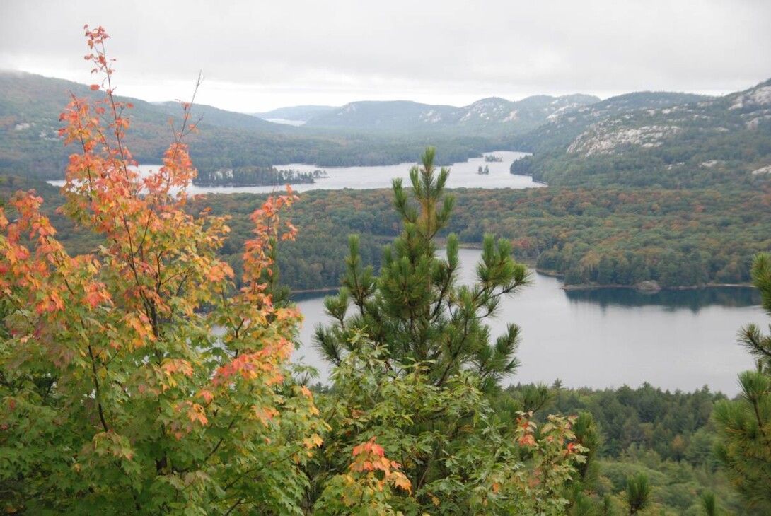 Une vue du haut d'une montagne. C'est l'automne, les feuillages sont jaune et orange Au loin, on voit des montagnes et la forêt, autour d'une grande rivière sinueuse.