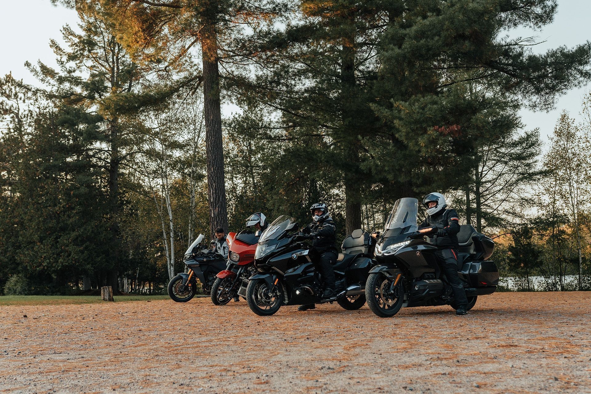 Four motorcycles are parked in front of some tall pine trees in the fall.