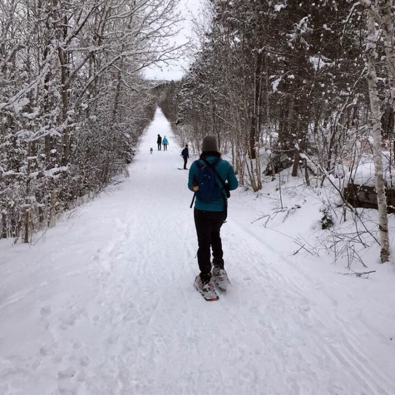 A person snowshoeing at Bioski Cross-Country Ski & Snowshoe Club.