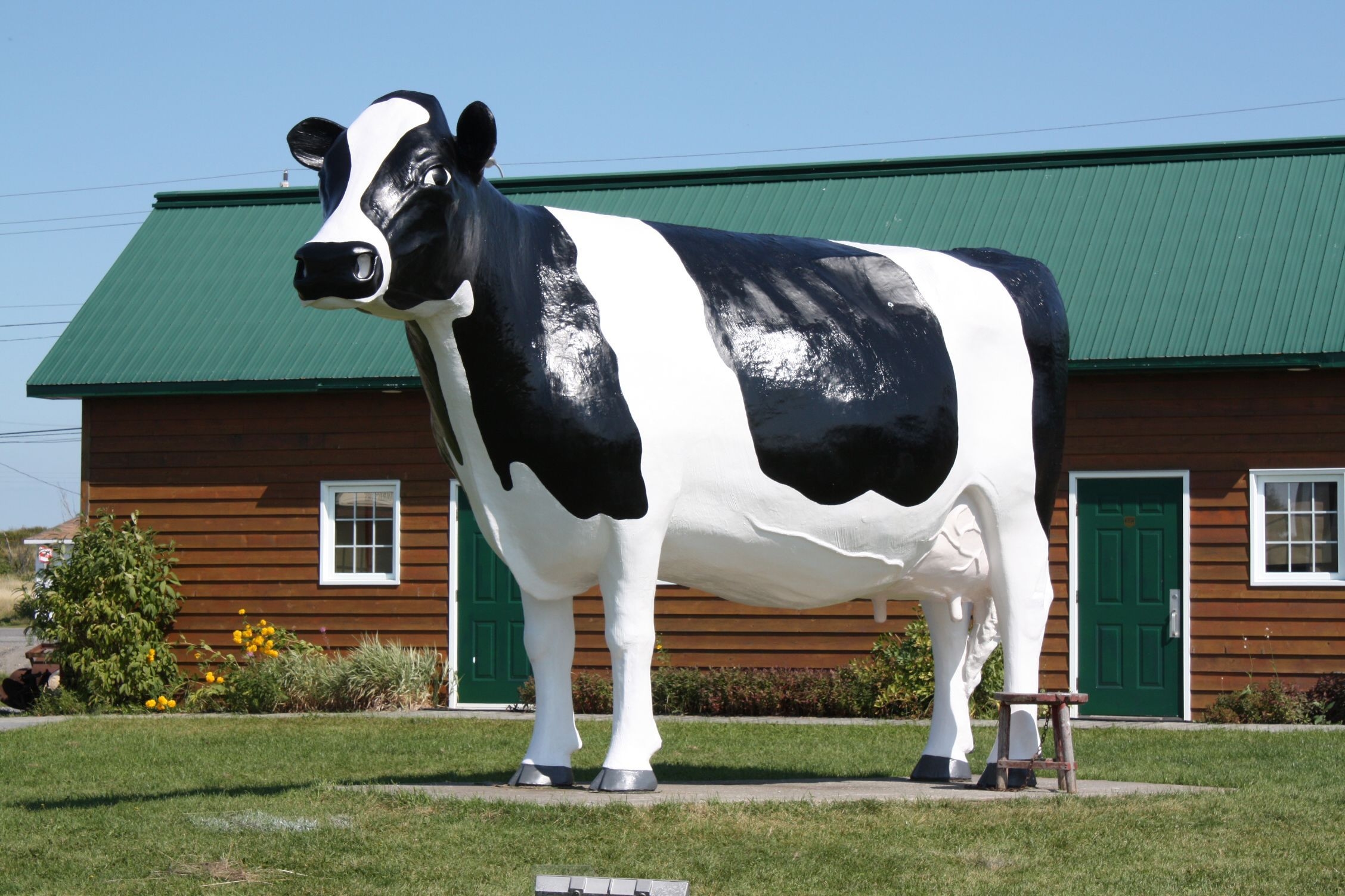 A large statue of a black and white cow