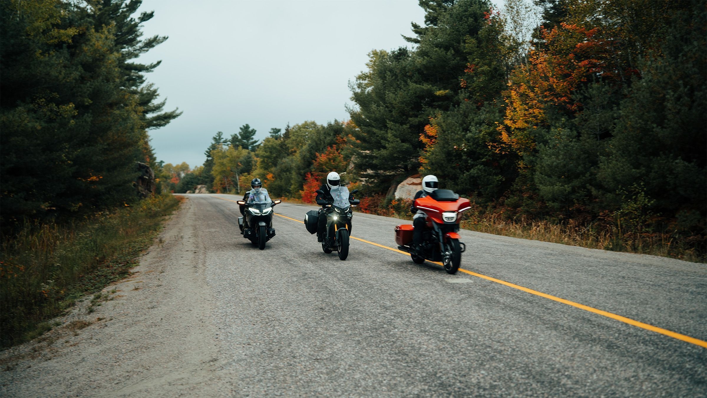 Three motorcycles drive by on a fall day.