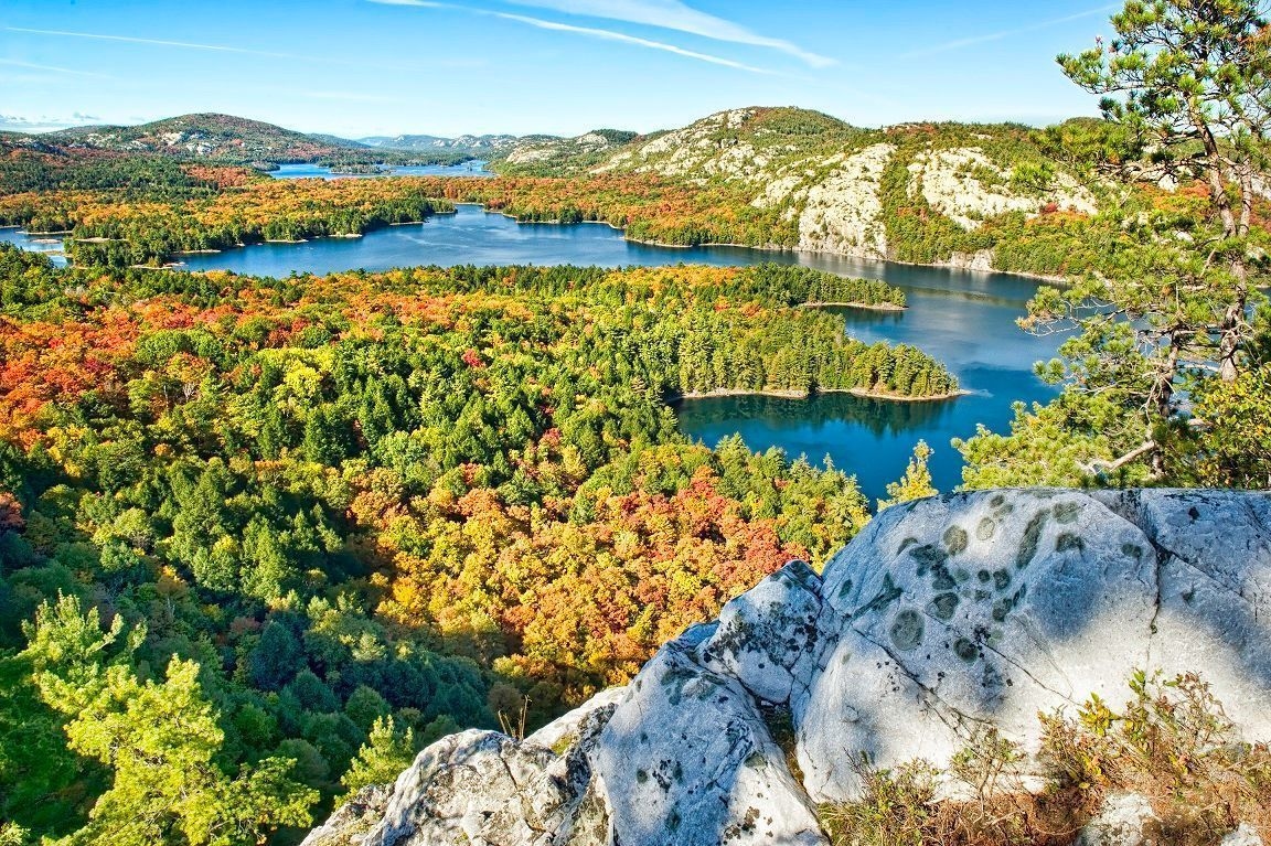 A colourful fall vista in Killarney.