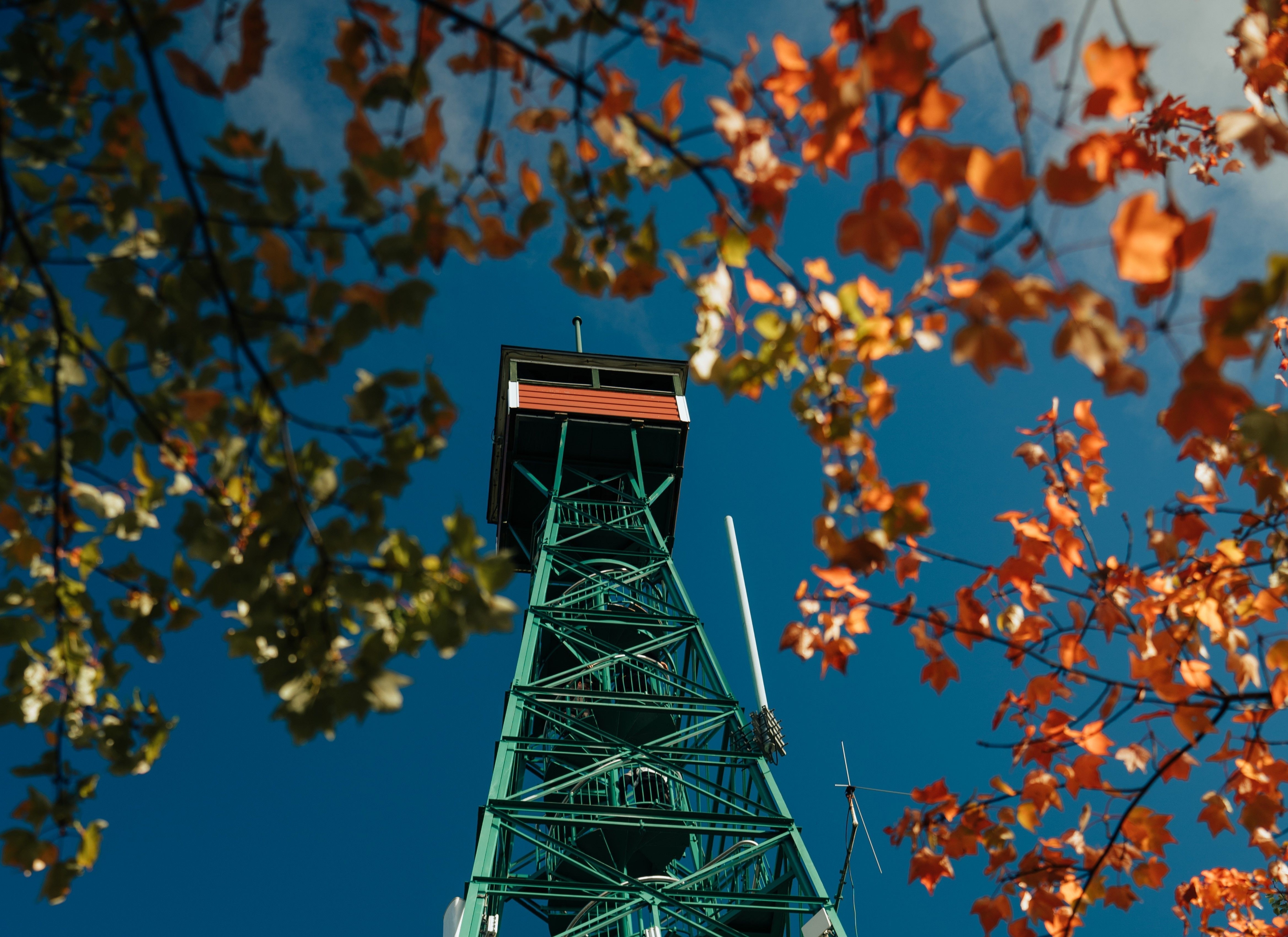 Temagami Fire Tower from below, in the fall.