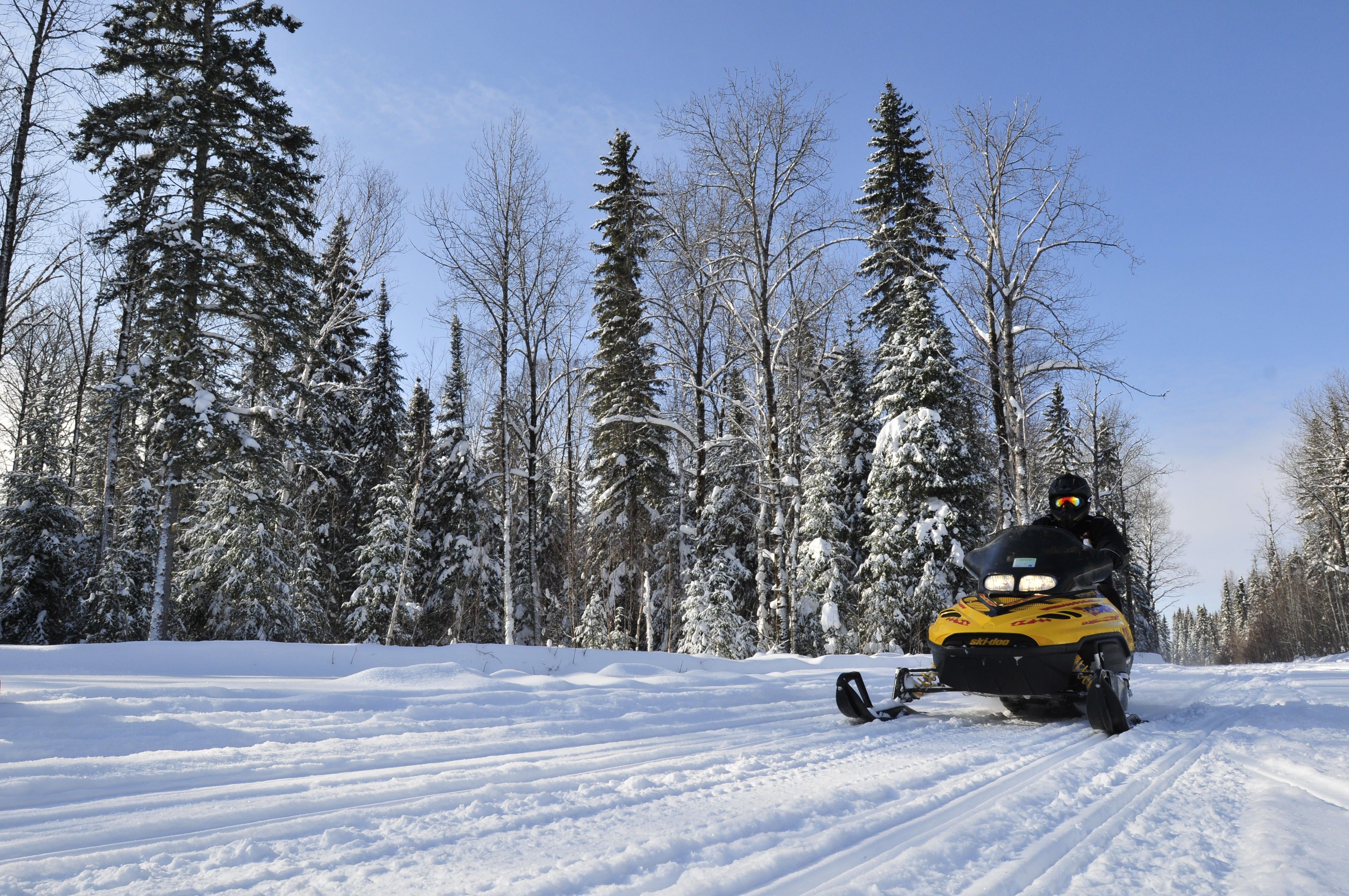 a person drives a black and yellow snowmobile across a flat snow trail in front of tall green trees