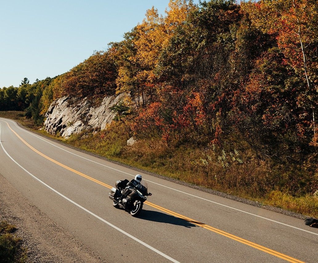 A single biker takes a corner on a highway in front of a cliff face of trees in fall colours