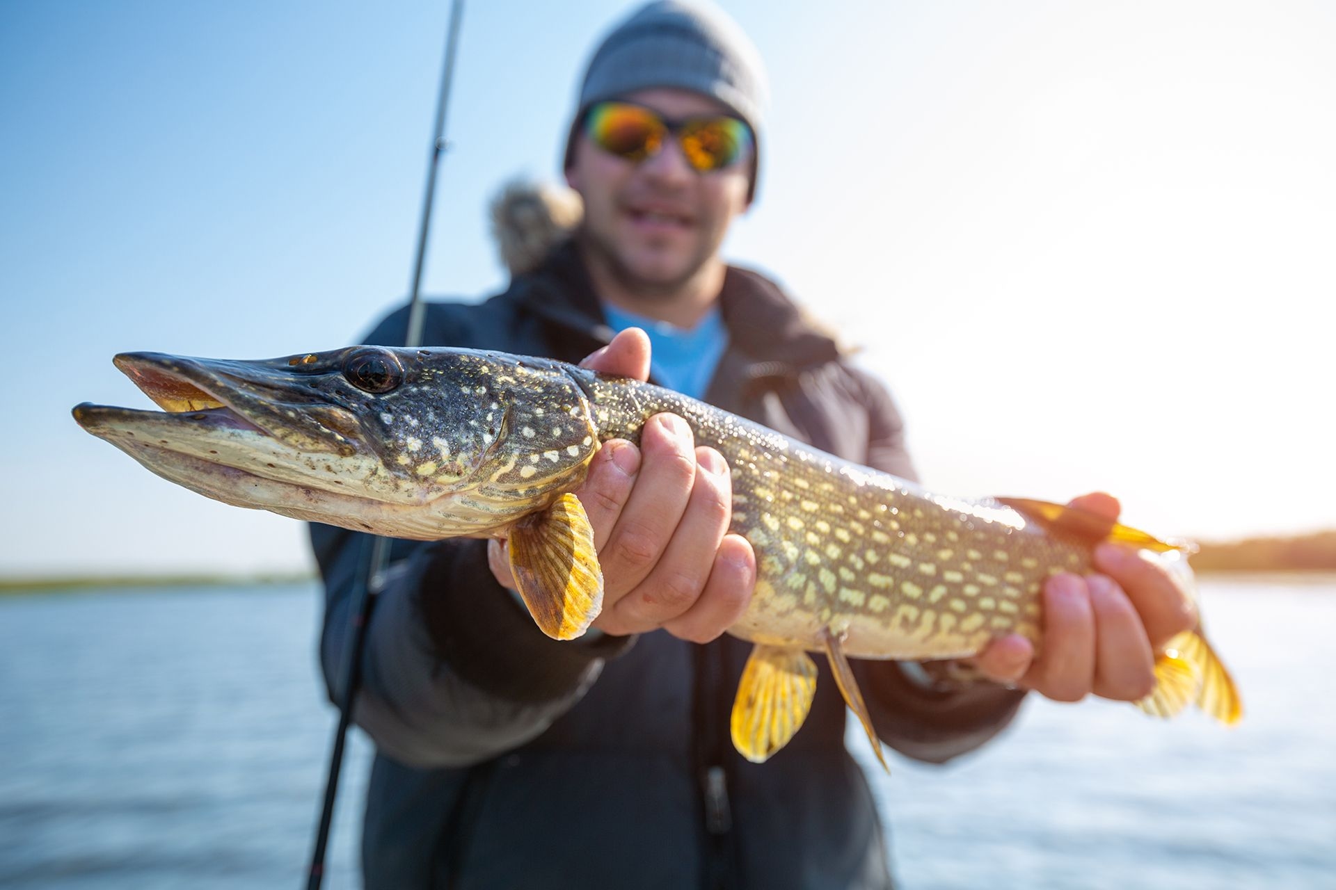 a man wearing sunglasses and toque holds a long yellow and green speckled fish