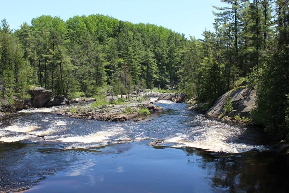 La rivière Spanish s'avance dans une forêt de pins blancs. Des rochers jonchent la rivière et ses rives. 
