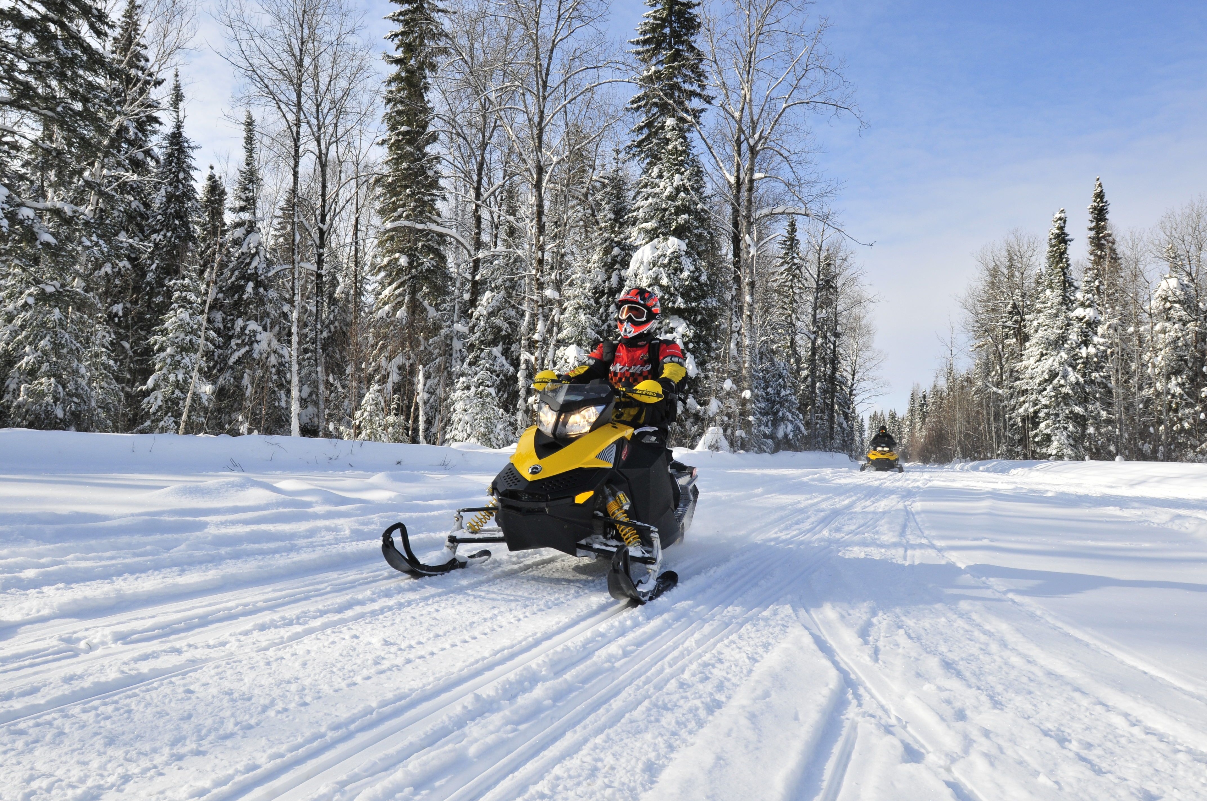 two snowmobilers ride along a flat snowy track among snow covered pine trees