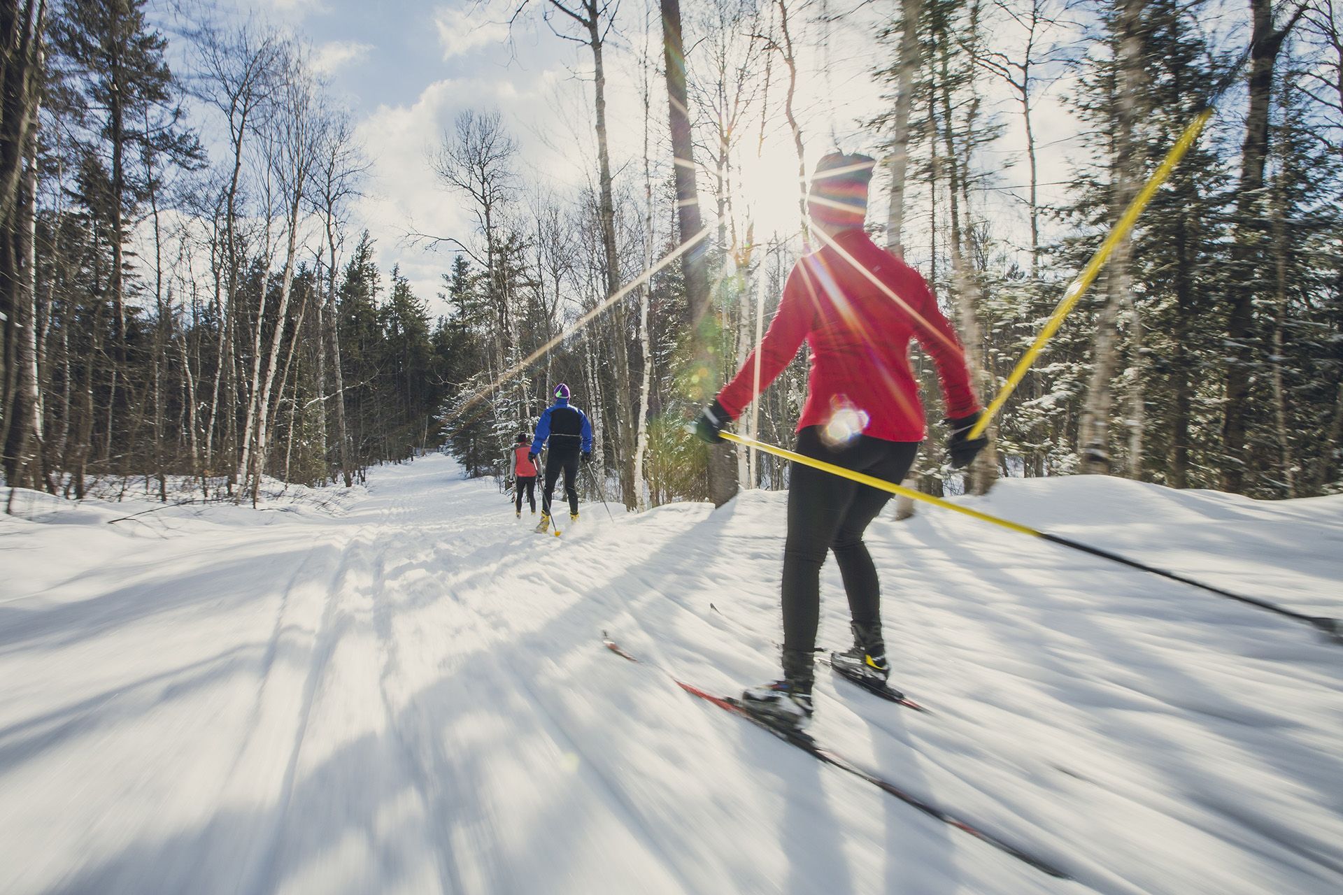 Une personne vêtue d'une veste rouge fait du ski de fond par une journée ensoleillée à travers les bois.