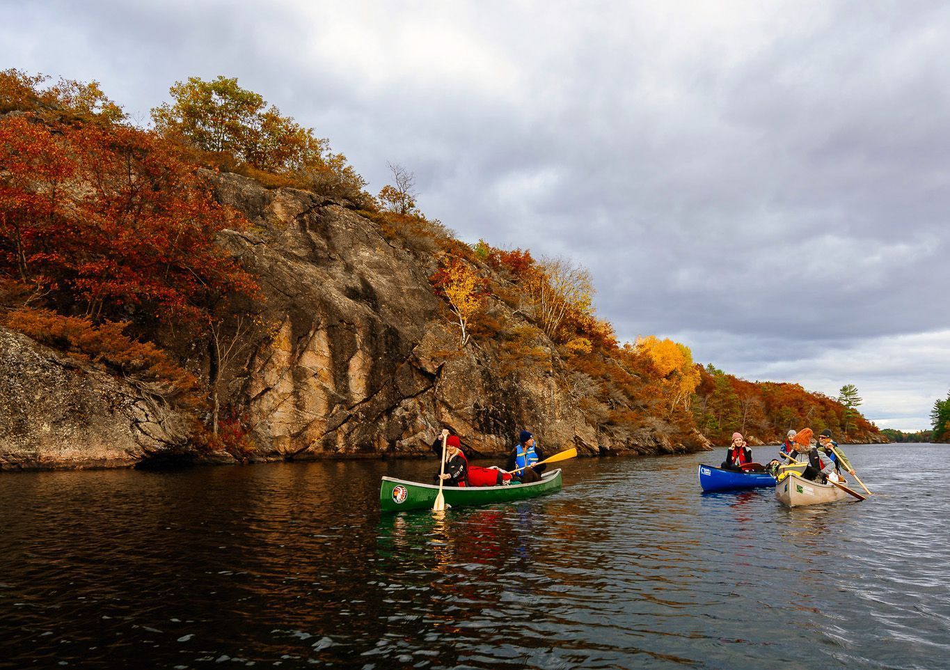 A group of people paddle down the French river in brightly coloured canoes in front of fall colors.