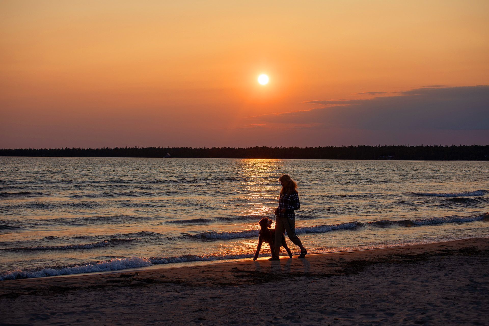 A woman and her dog walk on a beach on Manitoulin Island at sunset.