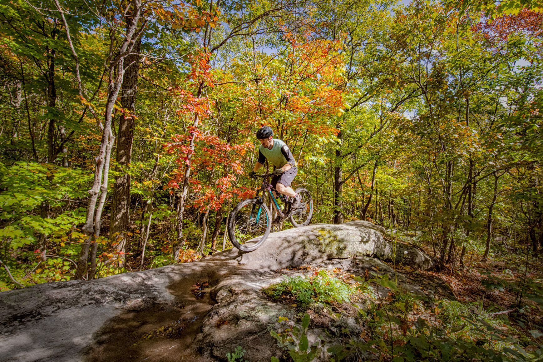 A man riding over a rock on his mountain bike in the fall