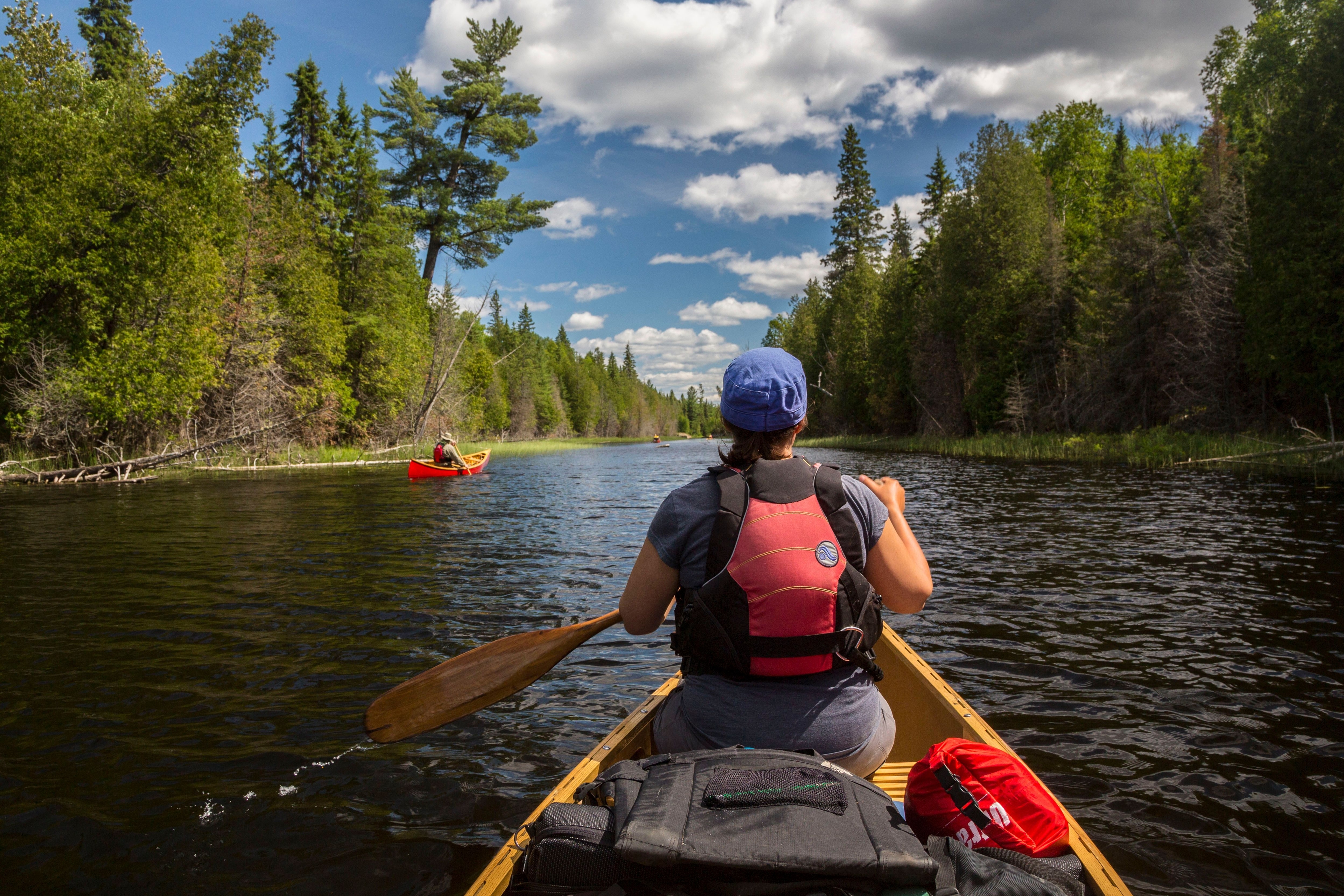 La photo a été prise par la personne à l'arrière du canot. On voit la personne à l'avant du canot, et une autre embarcation devant. la rivière, assez large, s'avance dans une forêt toute verte.