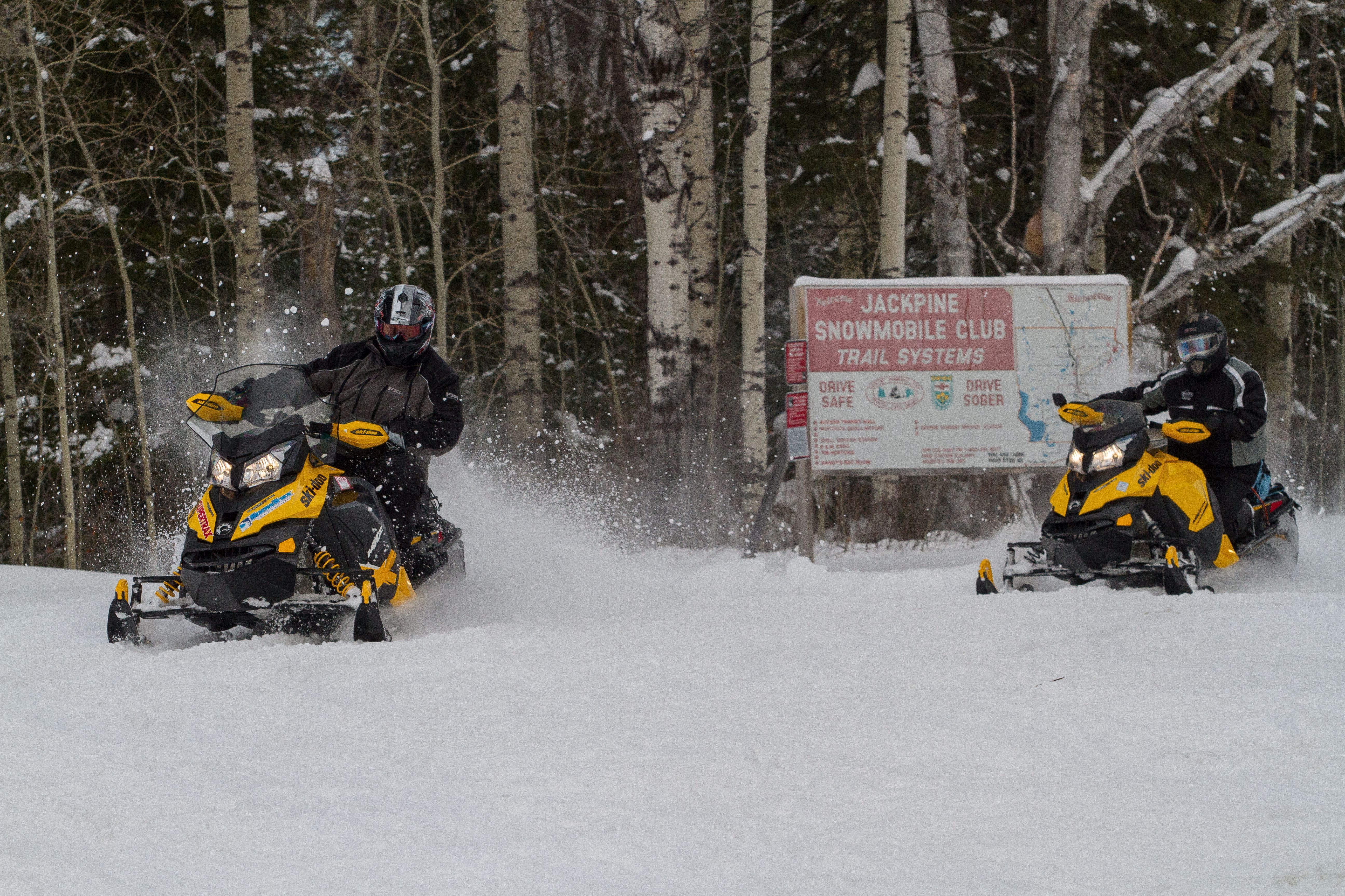 Deux motoneiges sortent de la forêt enneigée, à Iroquois Falls.