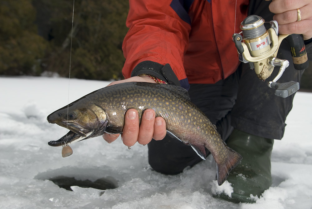 Ice Fishing for Stocked Brook Trout