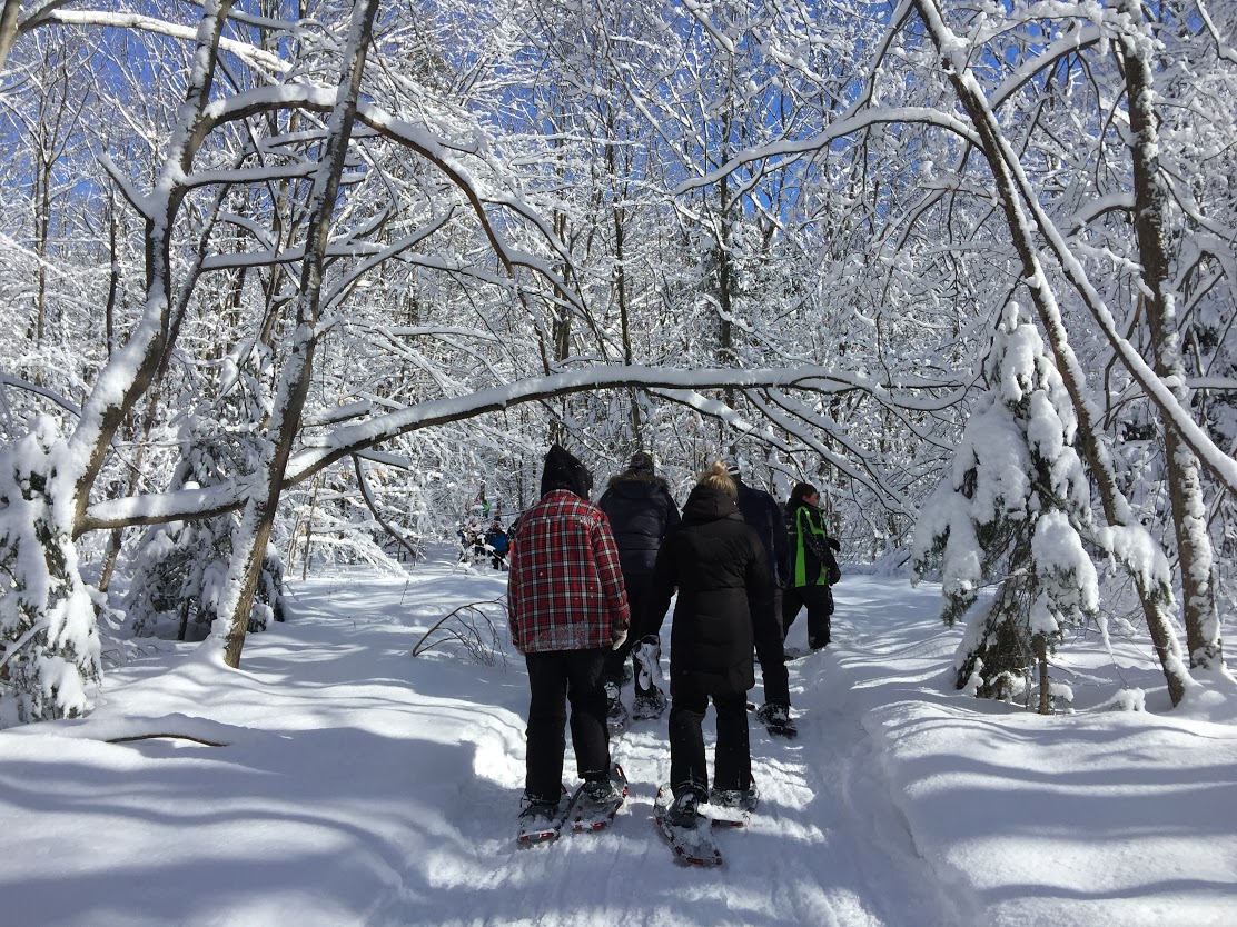 Top 5 Snowshoeing Destinations in Northeastern Ontario