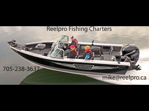 Reelpro Fishing Charters