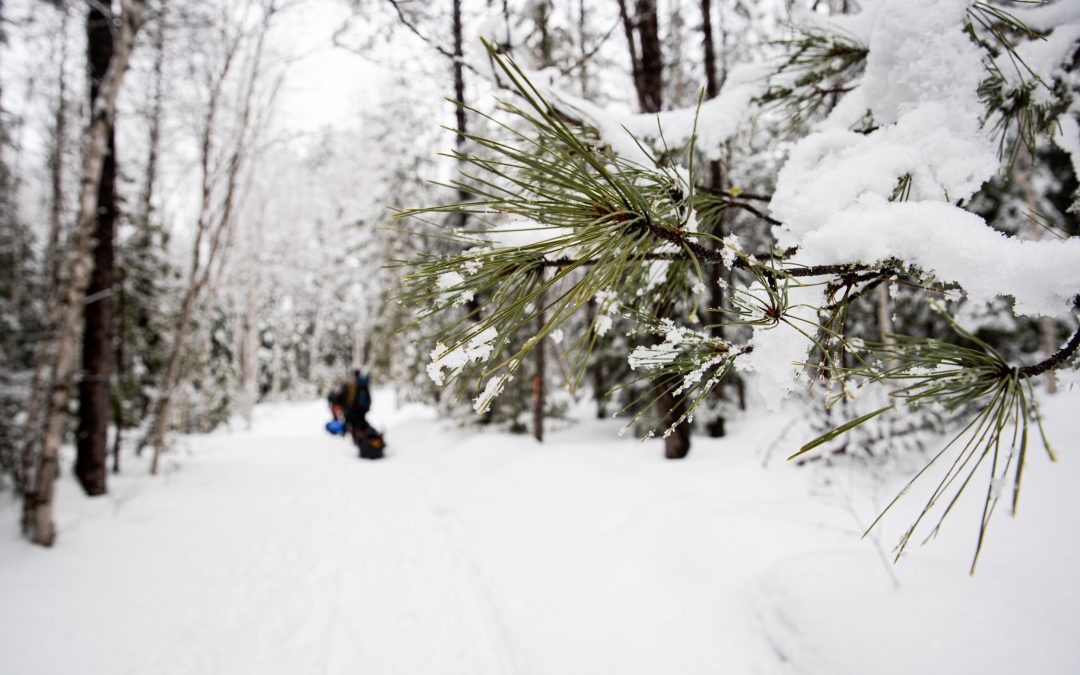 Plan Your Winter Escape on Snowshoes, Skis or Snow Cleats